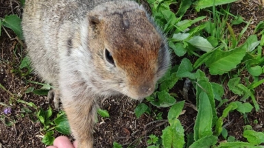 Фото нашего гида Жени Скопиной