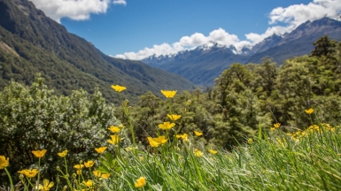 Фото нашей Странницы Татьяны Руновой