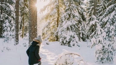 Фото: Anita Austvika on unsplash