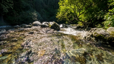 Фото нашего Странника Дмитрия Кочерыгина
