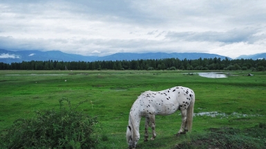 Фото нашей Странницы Марины Шумаковой