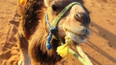 Фото нашего гида Натальи Кислушко