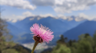 Фото наших Странников