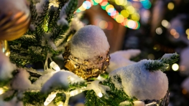 Фото: Mitya Ivanov, unsplash.com