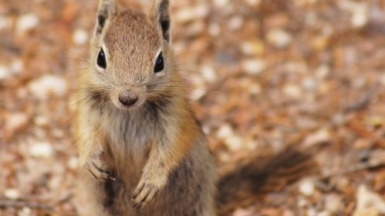 Фото: Camille Couvez, unsplash.com