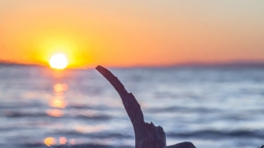 Фото: -5Nap-, visualhunt.com