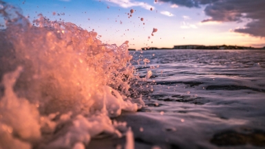 Фото: Ryan Loughlin, unsplash.com