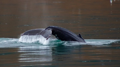 Фото из архива