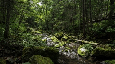 Фото наших партнёров