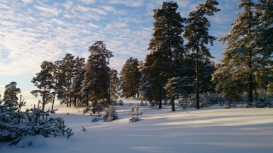Фото из архива Клуба