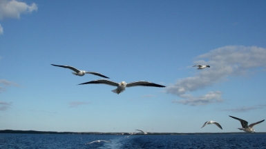 Фото: deepskyobject on VisualHunt