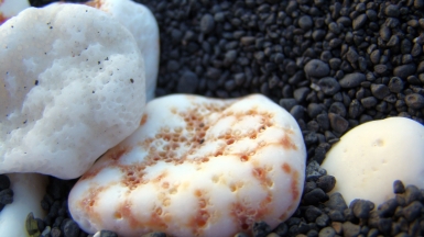 Автор: stealingsand. Источник: visualhunt.com