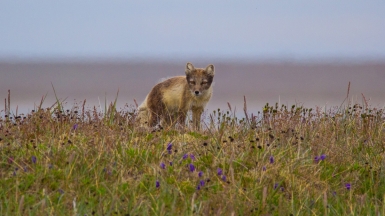 Фото из архива Клуба