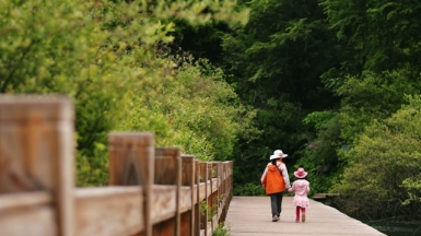 Фото: rosalind-chang on unsplash