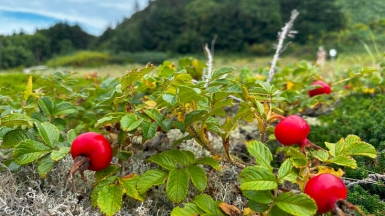 Фото нашего Странника Константина Дубинина