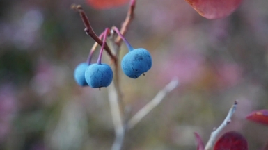 Фото из архива Клуба