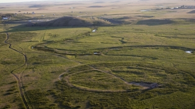 Фото: Rafikova m, wikimedia.org