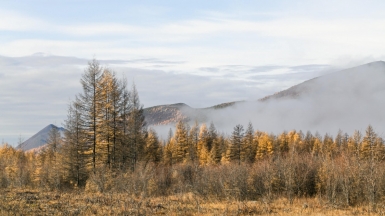 Фото: Михаил Местников