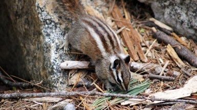 Фото: James Lee, unsplash.com