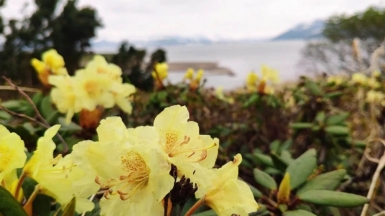 Фото Евгении Скопиной