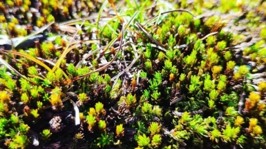 Фото нашего гида Евгении Скопиной