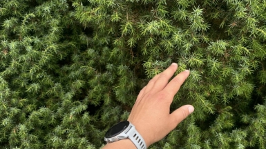 Фото нашего гида Марии Тергоевой