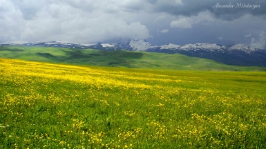 Фото: Alexander Mkhitaryan, visualhunt.com