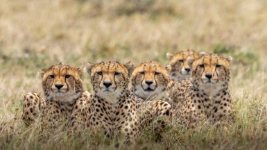 Фото: Ahmed Galal, unsplash.com