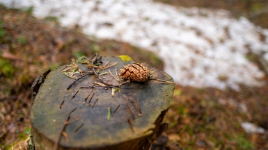 Фото нашего Странника Кирилла Родионова