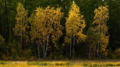 Фото нашего гида Михаила Верёвченко