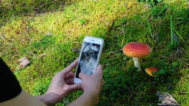 Фото нашего Странника Владимира Гущина