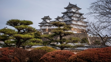 Фото Sue Winston,  unsplash.com