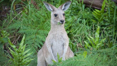 Фото: 
Marcus Byrne, unsplash.com