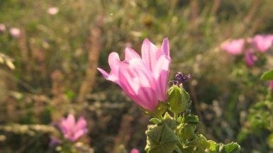 Фото: Ilya Schurov, visualhunt.com