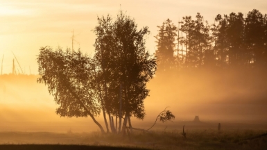 Фото нашего гида Михаила Верёвченко