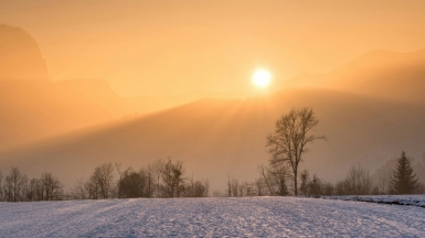 Фото: Ales Krivec on Unsplash