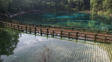 Автор: HK James Ho. Источник: visualhunt.com