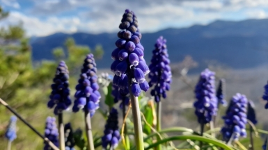 Фото наших Странников