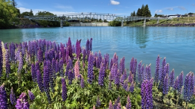 Фото: JustGoThere.NZ