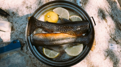 Фото: Robson Hatsukami Morgan, unsplash.com