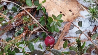Фото гида Галины Чудновской