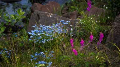 Фото: Ninara, visualhunt.com