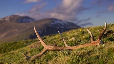 Фото: Bryce Bradford, visualhunt