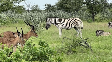 Фото: наш гид Алексей Шорец