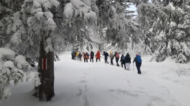 Фото наших Странников