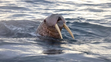 Фото из архива Клуба