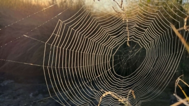 Фото наших Странников