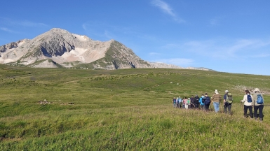 Фото нашей Странницы Милы Кузнецовой