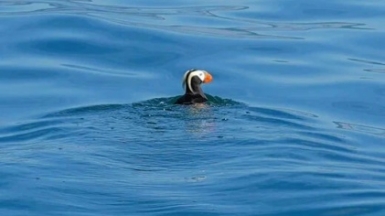 Фото из архива Клуба