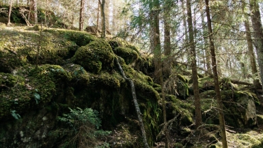 Фото из архива Клуба